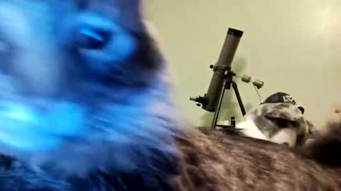 Snapshot of aphrodite60 chatting on 01-12-25, 06:28 Aphrodite60 online show from 01-12-25, 06:28