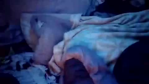 apocolypseanomaly online show from 12-16-24, 12:49