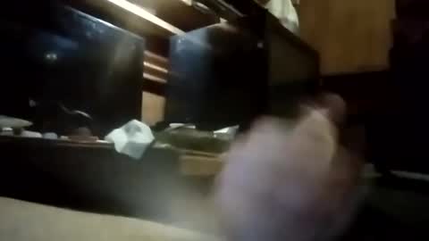 apocolypseanomaly online show from 01-03-25, 10:52