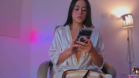 Snapshot of apoteosis_ chatting on 02-27-26, 08:47 Apo online show from 02-27-26, 08:47