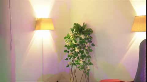 insta appolo master online show from 11-26-25, 04:02