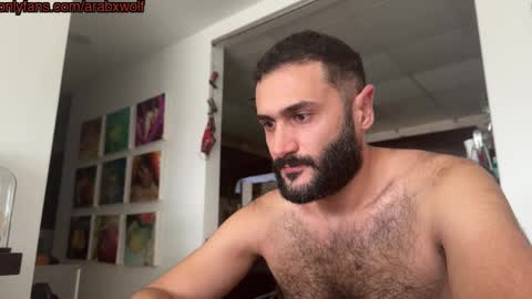 hairycub online show from 11-09-25, 08:12
