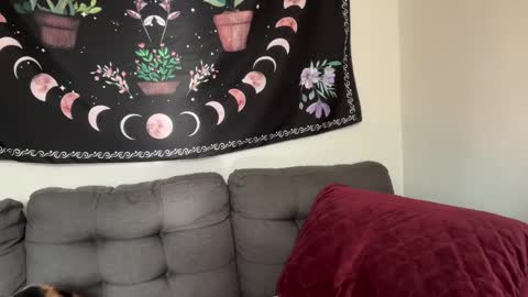 Aria Fields online show from 12-04-24, 05:33