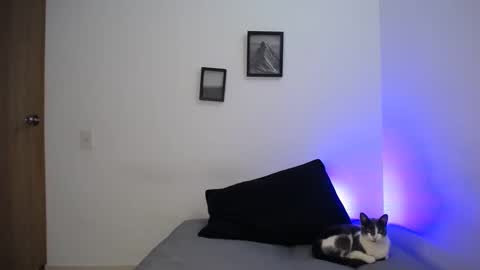  777 online show from 12-19-24, 05:40