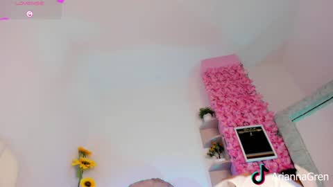Arianna online show from 12-23-24, 07:20