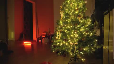 Snapshot of arianna_richi chatting on 12-30-24, 05:48 Olivka online show from 12-30-24, 05:48