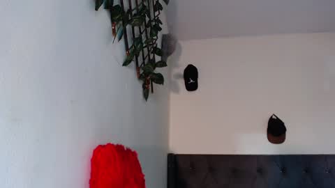 Snapshot of arielbronwxxx chatting on 01-29-25, 07:11 chris online show from 01-29-25, 07:11