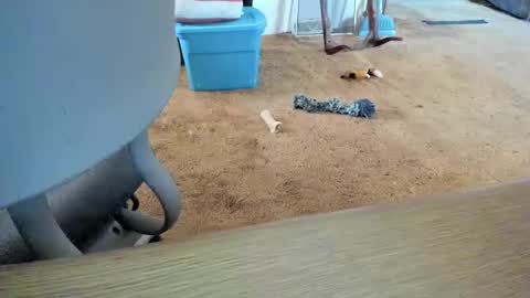 Snapshot of armalite16 chatting on 10-12-25, 01:32 armalite16 online show from 10-12-25, 01:32