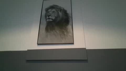 Snapshot of arthure944491 chatting on 10-29-25, 07:15 arthure944491 online show from 10-29-25, 07:15