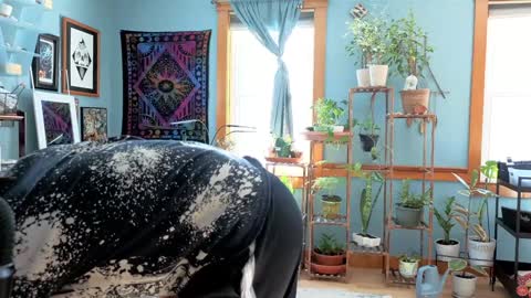 Artie Paints online show from 12-22-24, 03:22