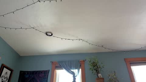 Artie Paints online show from 01-03-25, 04:27