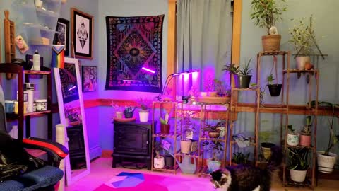 Artie Paints online show from 01-04-25, 12:16