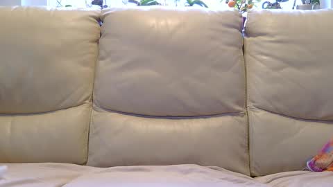 aryton_67 online show from 01-26-25, 08:25