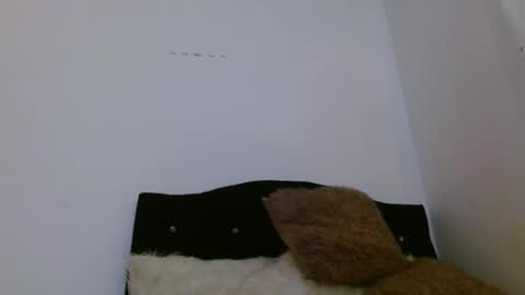 Snapshot of ashleyt1998 chatting on 04-05-26, 02:25 ASHLEY online show from 04-05-26, 02:25