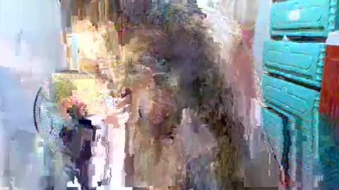 Snapshot of asian_feb chatting on 11-07-25, 12:16 sweet feb online show from 11-07-25, 12:16