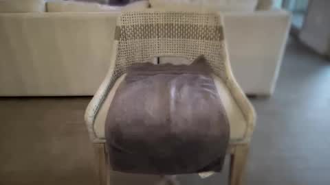 Snapshot of assfucklovee chatting on 12-16-24, 02:49 assfucklovee online show from 12-16-24, 02:49