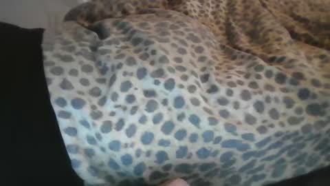 Aussiecockpumper76 online show from 03-04-25, 05:21