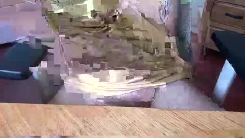 Rich online show from 03-05-25, 05:07