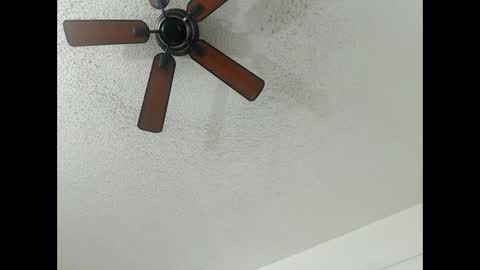 Snapshot of avalkyerieandherheathen chatting on 02-13-25, 01:19 Lily Orion online show from 02-13-25, 01:19