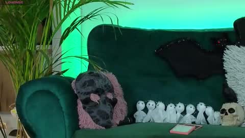 Snapshot of averywillow chatting on 10-27-25, 04:49 AveryWillow online show from 10-27-25, 04:49