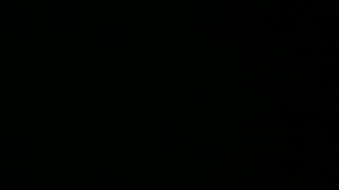 Snapshot of avg3131 chatting on 01-16-25, 06:35 avg3131 online show from 01-16-25, 06:35