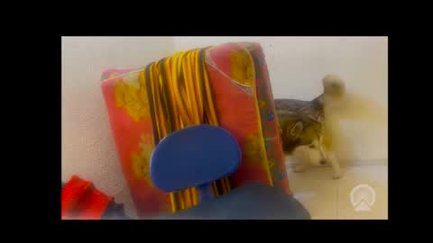 Snapshot of axelpadilla98 chatting on 02-04-26, 05:02 deliciosodemente online show from 02-04-26, 05:02