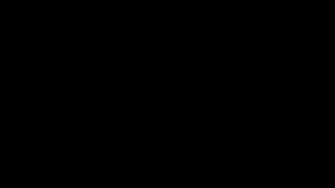 Ayden Miller online show from 12-02-24, 06:52