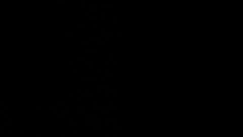 Ayden Miller online show from 12-14-24, 01:49