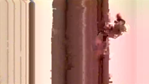 Snapshot of ayquericoseve chatting on 11-28-25, 03:31 ayquericoseve online show from 11-28-25, 03:31