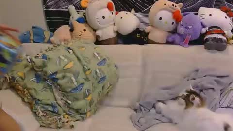 Snapshot of aznp1ea5er chatting on 02-19-26, 04:19 aznp1ea5er online show from 02-19-26, 04:19