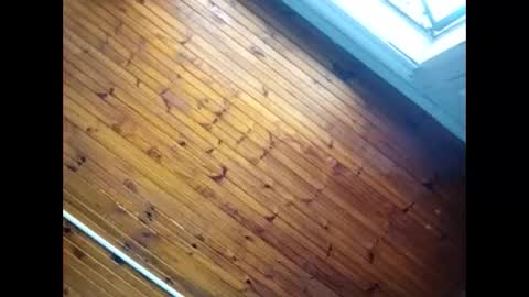 Baby  P online show from 02-26-26, 09:30