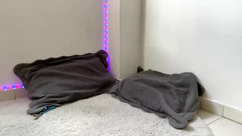 babycrazy24love online show from 03-02-25, 05:47