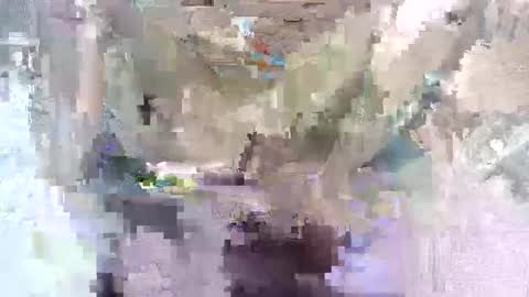 Snapshot of babymom1 chatting on 03-07-25, 08:33 babymom1 online show from 03-07-25, 08:33