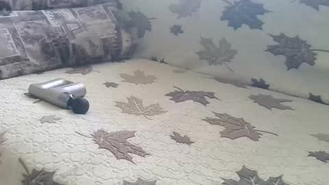 Snapshot of babymom1 chatting on 03-09-25, 02:21 babymom1 online show from 03-09-25, 02:21