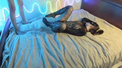 Snapshot of bada_b1ng chatting on 12-07-24, 02:35 bada_b1ng online show from 12-07-24, 02:35