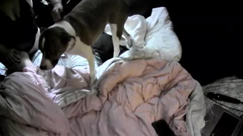 Snapshot of badassrider420 chatting on 11-24-25, 03:50 badassrider420 online show from 11-24-25, 03:50