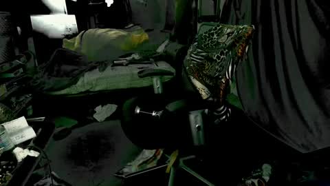 Snapshot of baddaddy215 chatting on 12-09-24, 09:28 baddaddy215 online show from 12-09-24, 09:28