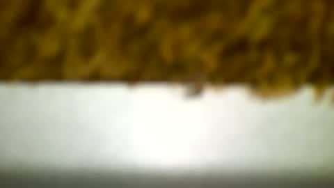 Snapshot of bagalan chatting on 12-19-24, 04:23 Carlos online show from 12-19-24, 04:23