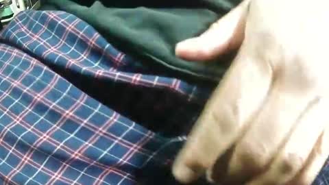 Bagofun online show from 01-25-25, 07:38