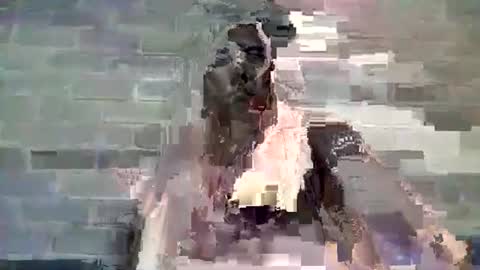 Chaterlain online show from 01-10-25, 11:54