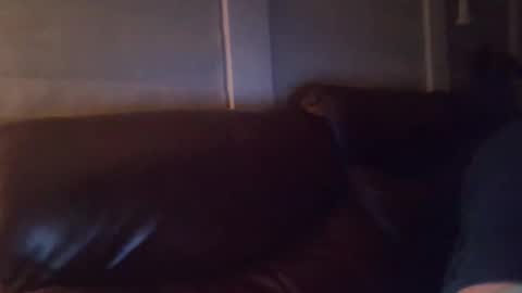 Snapshot of bake66999 chatting on 02-05-26, 06:18 bake66999 online show from 02-05-26, 06:18