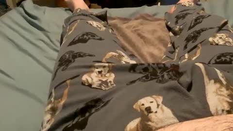 bandman862 online show from 12-11-24, 03:13