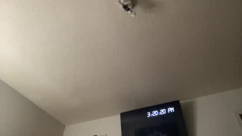 Chelly online show from 03-25-26, 07:20