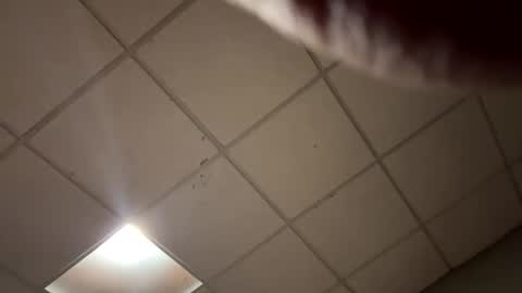 Snapshot of barbiegutzfan3 chatting on 10-15-25, 08:47 Tsbaby301 online show from 10-15-25, 08:47