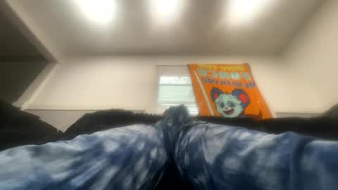 Snapshot of barn455 chatting on 10-15-25, 02:50 Barney online show from 10-15-25, 02:50