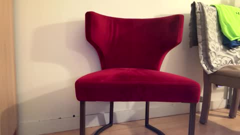 Batestallion9x6 online show from 01-19-26, 11:14