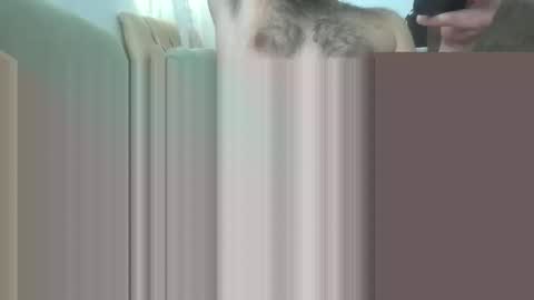 Snapshot of bathoneacock chatting on 03-02-25, 08:16 bathoneacock online show from 03-02-25, 08:16