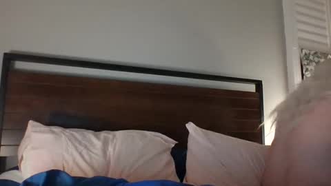 BjBambi online show from 12-14-24, 11:29