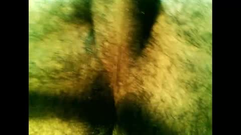 bayfall online show from 12-14-24, 10:28