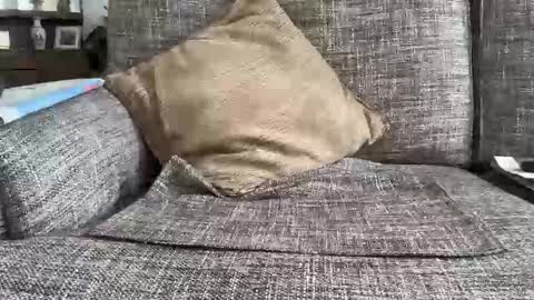 baykiwi54 online show from 02-11-26, 10:26